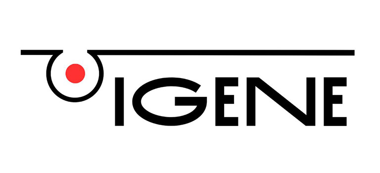 I-Gene Corporation
