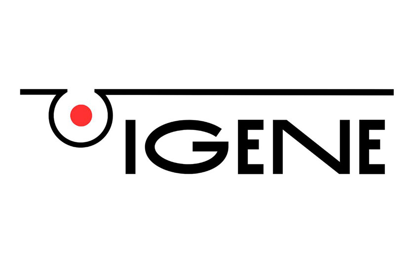 I-Gene Corporation